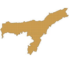 ASM