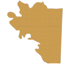 PU